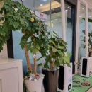 서울더플랜치과의원 이미지