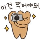 앞산387 이미지