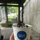 덕소로176 | 덕소 요거트아이스크림 초코팅 플레인 추천 요거트월드 남양주덕소점 내돈내산 후기