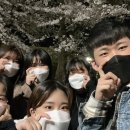 팀스터디 Daum카페