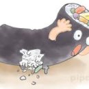 야김밥이다 이미지