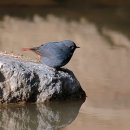 의정부시청 이미지