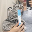 끌레베르 경희대직영본점 | #3. 이 소설의 끝은 떡볶이(?)