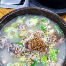 자운대프로