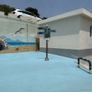 부산해양경찰서 중리출장소 이미지