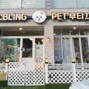 올블링 펫 부티끄 애견용품 이미지