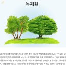 씨티투어여행사 이미지