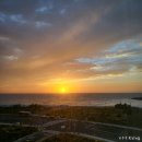 일억조횟집2호점 | 군산비응도맛집 | 군산 비응항 활어회코스 [일억조횟집 2호점]