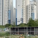 언양밀면 | 울산 언양 밀면 맛집 언양송대밀면 방문후기