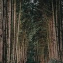 별방진하우스 이미지