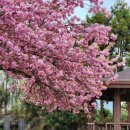 선흘1리 경로당 이미지