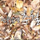 추월산 이미지