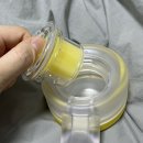비타민향기