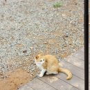 태안둘레길캠핑장 이미지