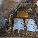 행복농장 이미지