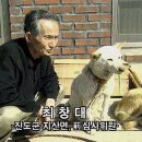 최창대 선생님의 진돗개 이야기 이미지