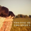 엣지줄눈 이미지