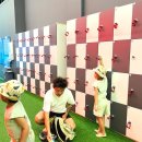 제주 여행 중 6세 이상 아이와 함께하는 액티비티 실내 관광지 다이나믹 메이즈