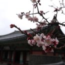 (주)디자인봄