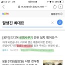 로뎀사무기 이미지