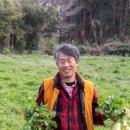 삼달다방 이미지