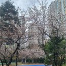 판교푸르지오공인중개사사무소 | 부동산 중개와 함께하는 판교푸르지오그랑블에서의 여유로운 생활