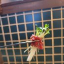[천안]신부동 분위기 깡패 술집 소집 후기|한우맛집