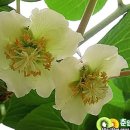 첫골농장 이미지