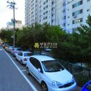 봉오대로 555번길 Daum카페
