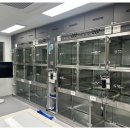 안심동물병원 이미지