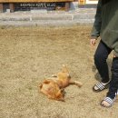 자연당 한옥민박 이미지