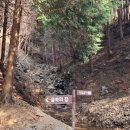 트리하우스 | [자연휴양림추천]국내 휴양림 중 제일 좋았던 하동편백자연휴양림 트리하우스(캠핑) 후기