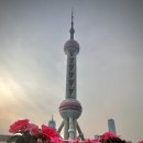 동방슈퍼 | [상하이] 동방명주 근처 기념품 디즈니스토어 위치 &amp; 상하이 홀리랜드 위치 리뷰 후기