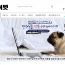 큐어벳 이미지