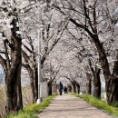 삼기천1 이미지