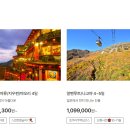 하나여행사 이미지