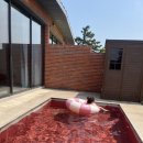 제주도 신축 에어비엔비 | 오형제 풀빌라 내돈내산
