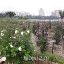 무궁화꽃화원 이미지