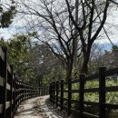 고복자연공원 수변 길 이미지