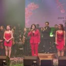 봄밤음악회 이미지