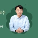 노화식당