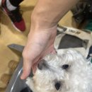 호두치과의원 이미지