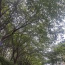 풍동도서관 시청각실 이미지