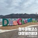 CU 대전대정점 | 둘레길 산책로 추천 귀여운 검은 고양이 사진 대청댐 포토존 철학관 주차장 자전거길 나들이 방문 후기