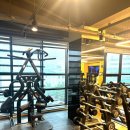 마인드휘트니스 이미지