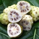 노니 필라테스 이미지