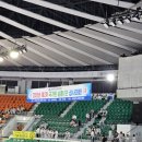용인대성민태권도 이미지