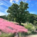 가산수피아 이미지