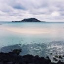 GOOD IN BEACH 이미지