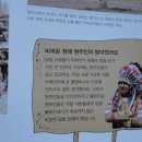 센프1호 네이버블로그